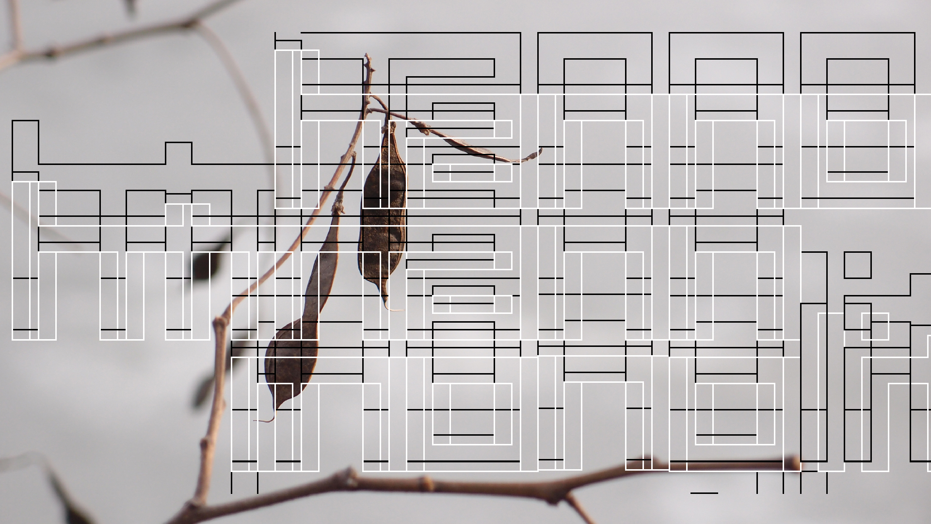 2021-03-10 Hanno Leichtmann - 1996 Monolith (rauschpartikel Remix 1 - 3)